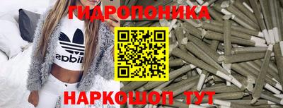 PSILOCYBIN Гатчина