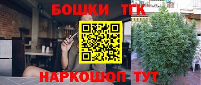 гидра Гагарин