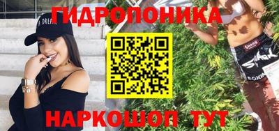 PSILOCYBIN Гатчина