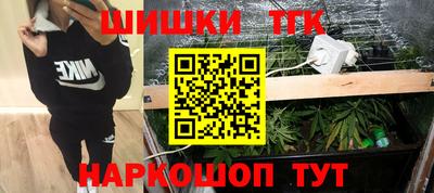 гидра Гагарин