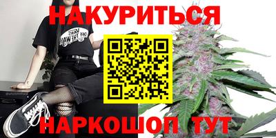 PSILOCYBIN Гатчина