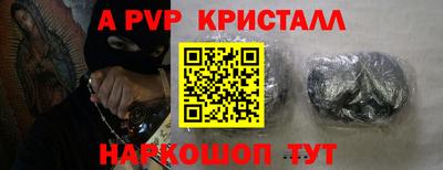 PSILOCYBIN Гатчина