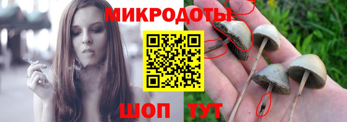 Галлюциногенные грибы Psilocybe  Псилоцибиновые грибы Psilocybe  Вход с VPN  как найти закладки  Белореченск 